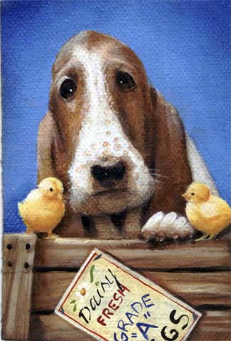 basset.jpg